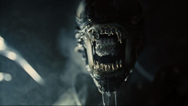 Fede Álvarez es el director uruguayo responsable de dirigir la nueva entrega de la saga "Alien".