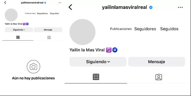 Yailin La Más Viral se desapareció de redes sociales tras la filtración de sus fotografías con lesiones (Foto: Yailin La Más Viral / Instagram)