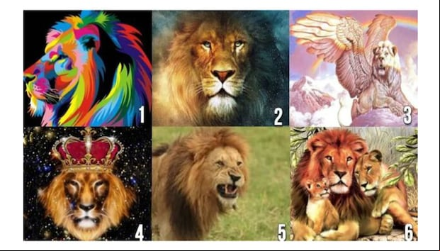 TEST VISUAL | Esta imagen te muestra bastantes leones. Elige uno. (Foto: namastest.net)