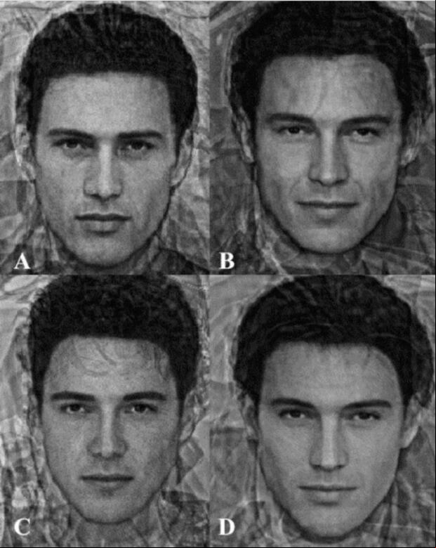 El rostro que te resulte más atractivo te dirá todo lo que necesitas saber sobre la personalidad de tu futura pareja