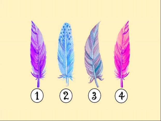 TEST VISUAL | En esta imagen hay cuatro plumas distintas. Tienes que escoger una. (Foto: namastest.net)