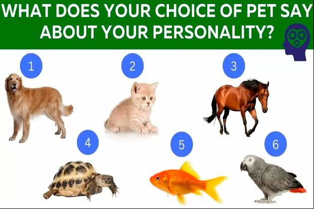 TEST DE PERSONALIDAD | En la imagen se ven seis animales distintos. Solo elige uno de ellos y recibirás información relevante sobre ti. | Foto: jagranjosh