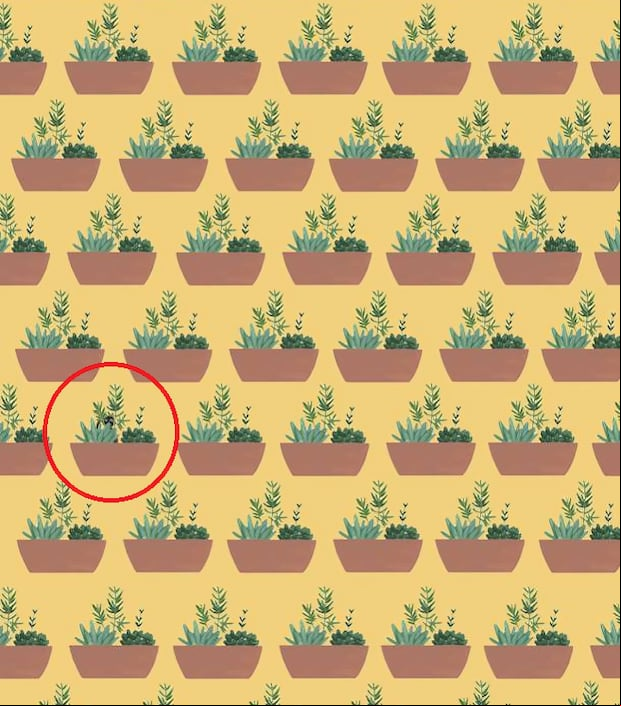 Descubre al gato escondido entre las plantas en menos de 6 segundos: un desafío para los más observadores (Foto: GenialGuru)