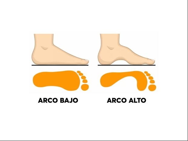 TEST DE PERSONALIDAD | Realice esta prueba de personalidad para descubrir sus rasgos, fortalezas, debilidades, naturaleza, mentalidad y estilo de comportamiento únicos. | jagranjosh