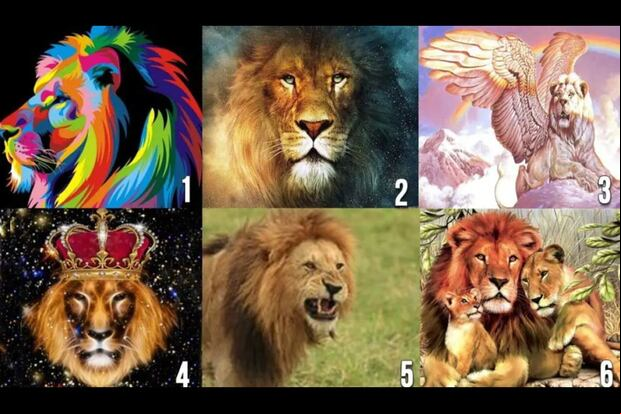 TEST VISUAL | Esta imagen te muestra seis leones en total. Escoge uno para que sepas qué tipo de pareja necesitas. (Foto: namastest.net)