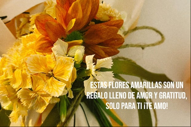 FRASES |Que entregar flores amarillas sea un hermoso gesto lleno de amor y cariño para la persona que más amas. (Foto: sevvalerol en Pexels / Composición Depor)
