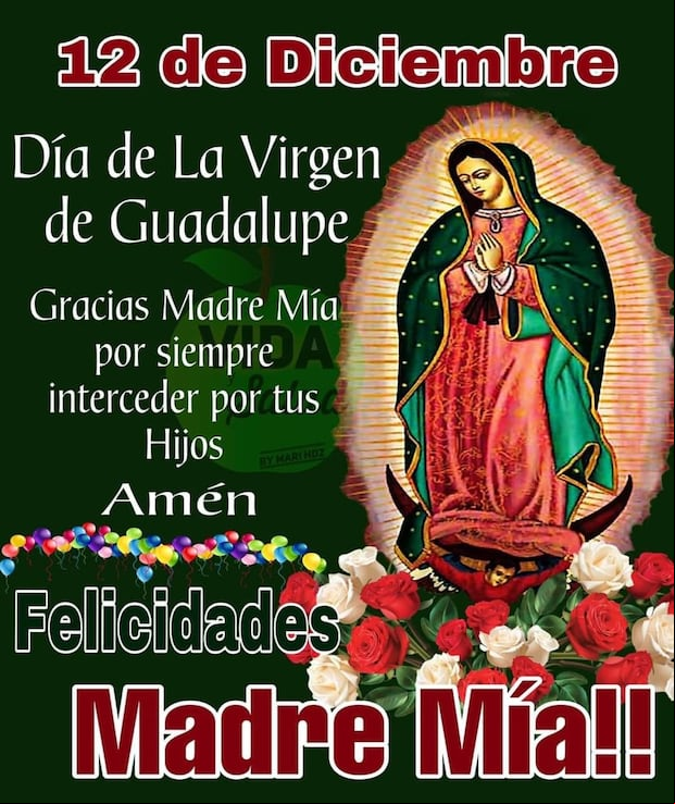 Imágenes para enviar por el Día de la Virgen de Guadalupe (Foto: internet)