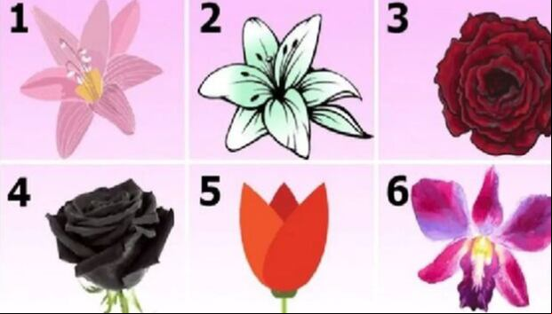 TEST VISUAL | Esta imagen muestra varias flores. Indica cuál es tu favorita. (Foto: namastest.net)