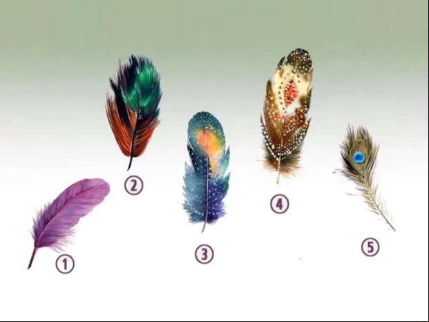 TEST VISUAL | Esta imagen te muestra cinco plumas completamente diferentes. (Foto: namastest.net)