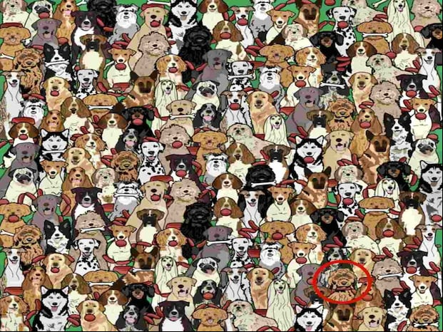 RETO VISUAL | El perro con la salchicha en la boca se ubica en la parte inferior derecha de la imagen.