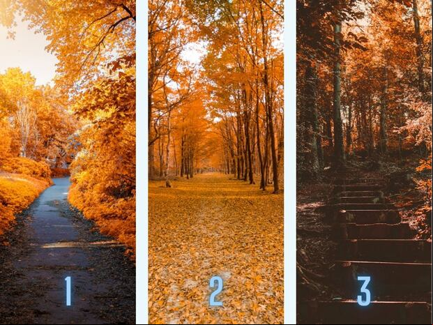 TEST VISUAL | El otoño es una de las estaciones más hermosas que puede existir. (Foto: Composición Freepik / Depor)