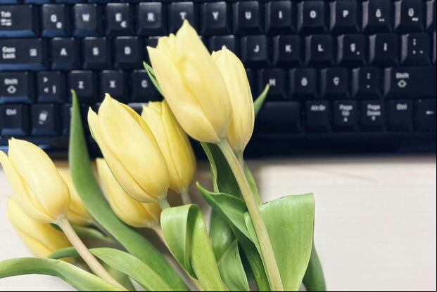 Regalar flores amarillas cada 21 de septiembre se ha vuelto tendencia en todo el mundo. ¿Qué significa entregarlas en el trabajo? aquí te lo cuento. (Foto: Meryem Meva / Pexels)