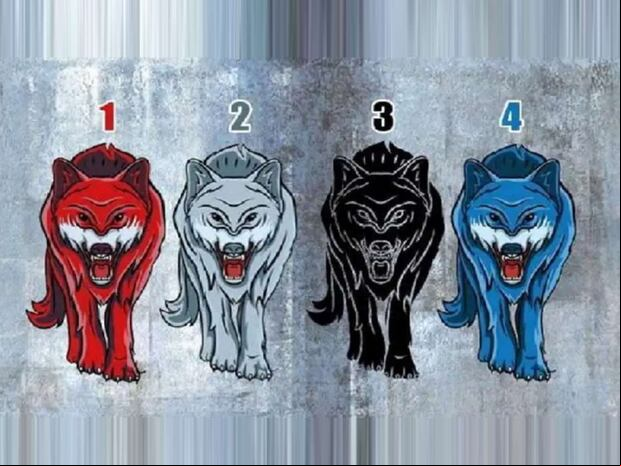 TEST VISUAL | Esta imagen te muestra varios lobos. Indica cuál es tu favorito. (Foto: namastest.net)