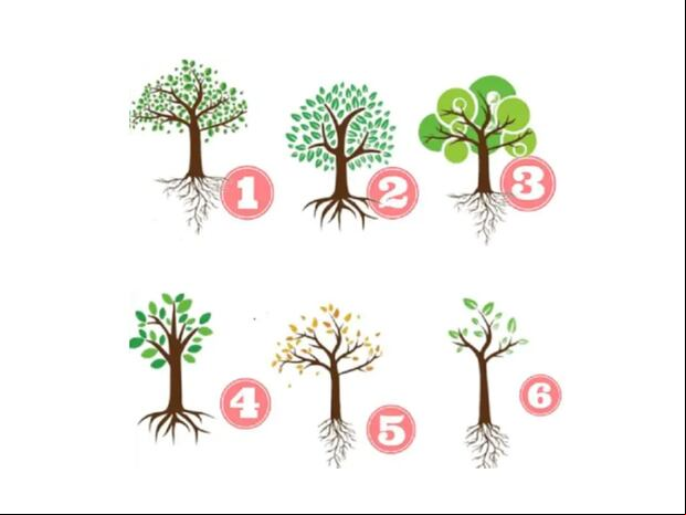TEST VISUAL | Esta imagen te muestra seis árboles distintos. Escoge uno. (Foto: namastest.net)