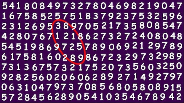 DESAFÍO VISUAL | ¿Cuánto tiempo te tomó dar con el número?
