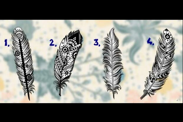 TEST VISUAL | Esta imagen te muestra cuatro plumas distintas. ¿Cuál eliges? (Foto: namastes.net)