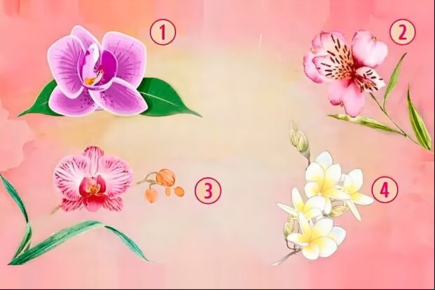 Test de personalidad: según la orquídea que elijas, sabrás cómo te relacionas con los demás (Foto: Genial Guru)