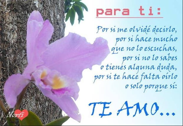 Imágenes para dedicar vía redes sociales por el Día de la Novia 2024. (Foto: Internet).