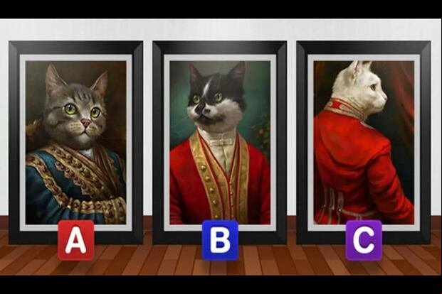 TEST DE PERSONALIDAD | Esta imagen te muestra tres gatos que usan trajes singulares. ¿Cuál es el que más te gusta? (Foto: namastest.net)