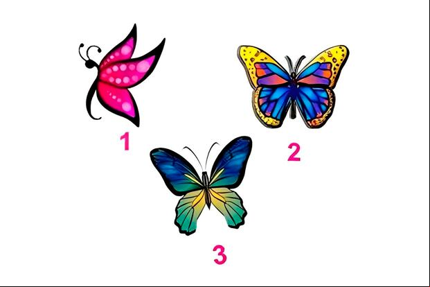 Elige una de las mariposas en esta imagen para descubrir qué clase de amigo eres (Foto: Namastest).