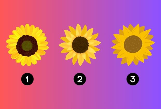 Escoge uno de los tres girasoles para descubrir cuál es el propósito de tu vida (Foto: Depor).