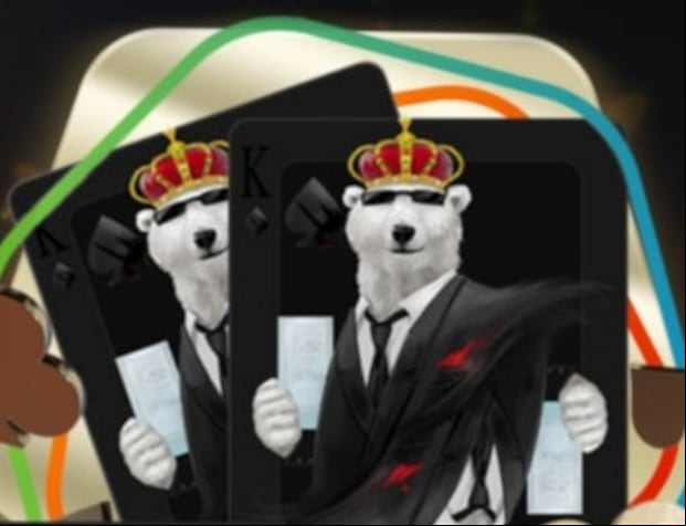 Coolbet App