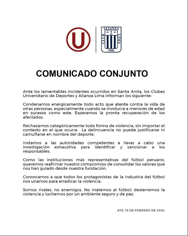 Cuatro personas terminaron gravemente heridas tras el brutal enfrentamiento. (Imagen: Difusión)