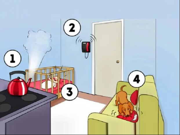 TEST VISUAL | Esta imagen te muestra el interior de una vivienda, donde una tetera debe ser apagada, un bebé llora, un teléfono recibe una llamada y un perro muerde un cojín. (Foto: namastest.net)