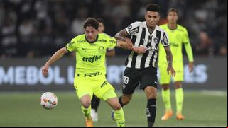 Botafogo vs. Palmeiras (2-1): goles, video y resumen por Copa Libertadores