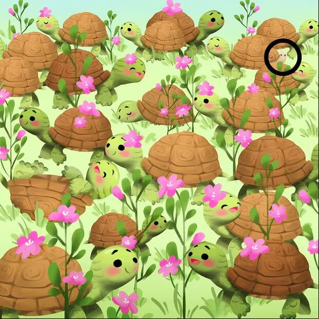 Prueba visual: ¿lograrás identificar al caracol que se oculta entre las tortugas en 15 segundos? (Foto: Depor)