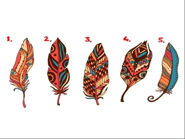 TEST VISUAL | Esta imagen te muestra cinco plumas. Debes escoger una. (Foto: namastest.net)