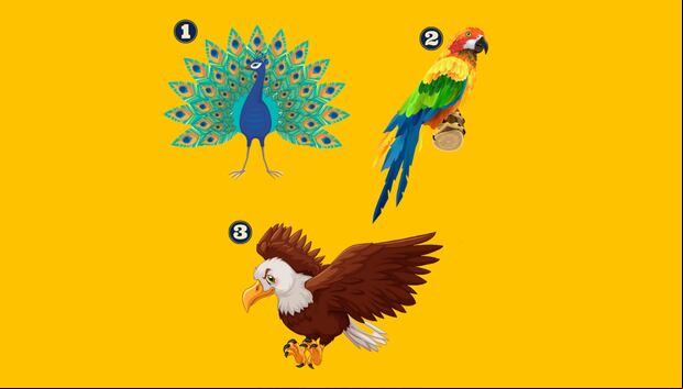 Test de personalidad | Elige un pájaro y descubre una revelación sorprendente sobre tu personalidad.