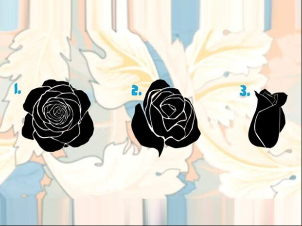 TEST VISUAL | Esta imagen te muestra tres rosas negras. Tienes que escoger una. (Foto: namastest.net)