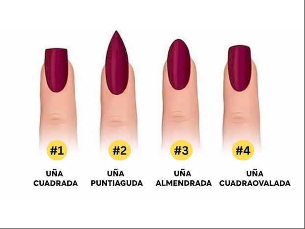 TEST DE PERSONALIDAD | Según algunos expertos, la forma de las uñas puede revelar rasgos ocultos de la forma de ser de cada uno. | jagranjosh.