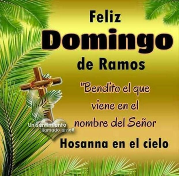 Las mejores frases, mensajes e imágenes para compartir este Domingo de Ramos (Foto: Internet).