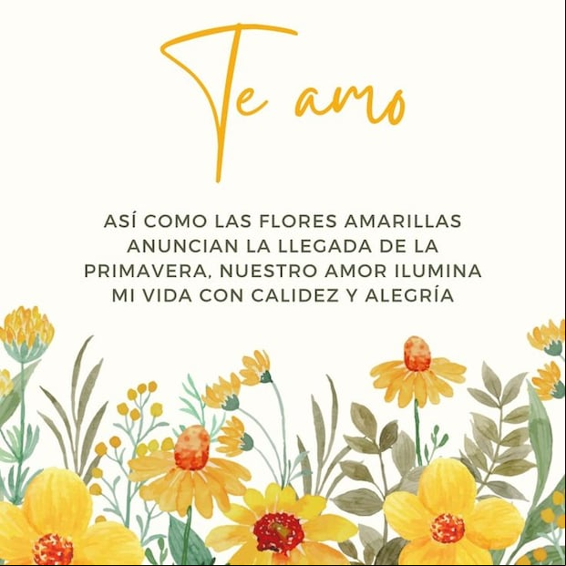 Imágenes de flores amarillas para compartir este 21 de marzo en redes sociales (Foto: Pinterest).