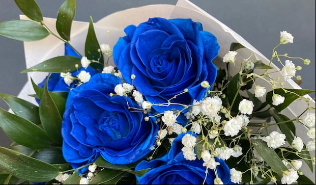 Se regalan flores azules el 3 de octubre en México. (Foto: Pixabay)