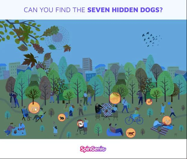 DESAFÍO VISUAL | En esta imagen se encuentran resaltados los 7 perros. ¿Lograste verlos a todos? | SpinGenie