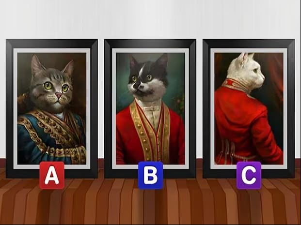 Elige al gato que más te guste o llame tu atención (Foto: GenialGuru)
