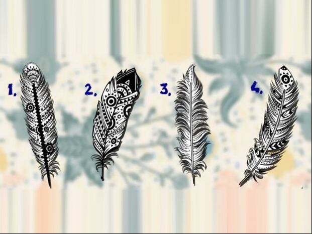 TEST VISUAL | Esta imagen te muestra cuatro plumas. Indica cuál es la que más te gusta. (Foto: namastest.net)