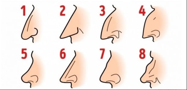 TEST DE PERSONALIDAD | Mira la imagen de los tipos de nariz. La que se parezca a la tuya te dirá algo que no esperabas sobre ti. (Mdzol)