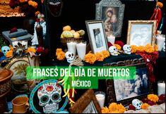 20 frases del Día de Muertos 2024 en México: palabras sentidas para celebrar y conmemorar