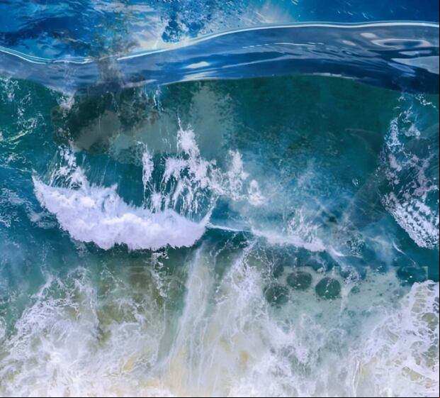 Demuestra tu habilidad visual al localizar la ballena oculta en la imagen (Foto: Depor)