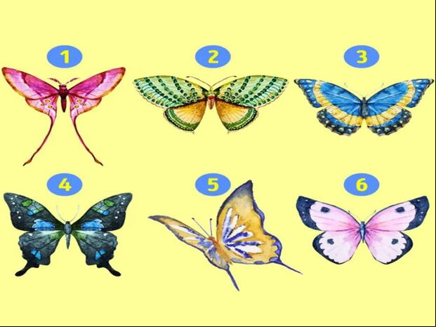 TEST VISUAL | Esta imagen te muestra bastantes mariposas. Tienes que escoger una. (Foto: namastest.net)