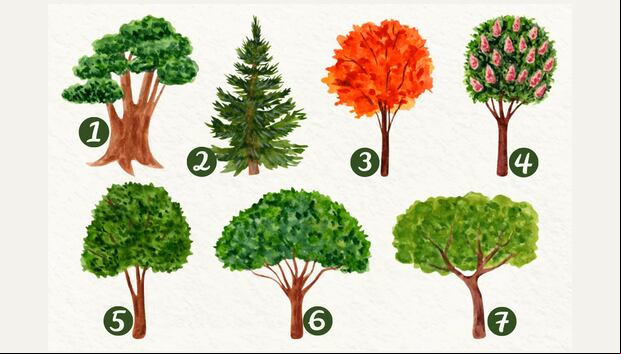 TEST DE PERSONALIDAD | Elige tu árbol favorito y descubre un mensaje especial sobre ti.
