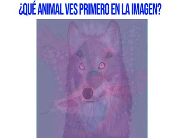 TEST VISUAL | Solo tienes que decirnos cuál animal logras identificar con claridad.| Foto: namastest