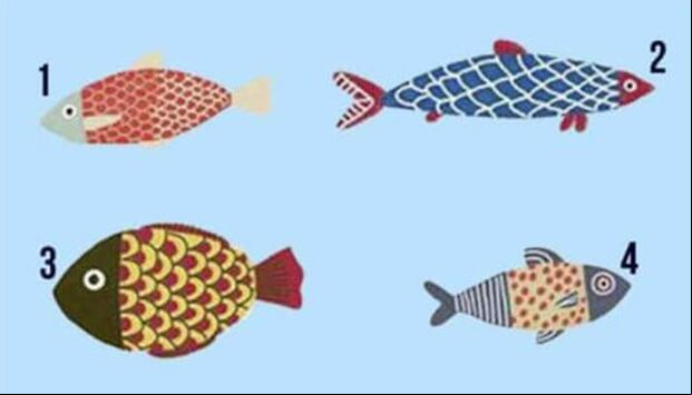 Test de personalidad: Elige uno de los cuatro peces y descubre tu mayor miedo. (foto: sutilezafeminina)