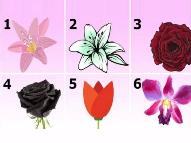 TEST VISUAL | Esta imagen te muestra seis flores diferentes. Responde cuál es la que más te gusta. (Foto: namastest.net)