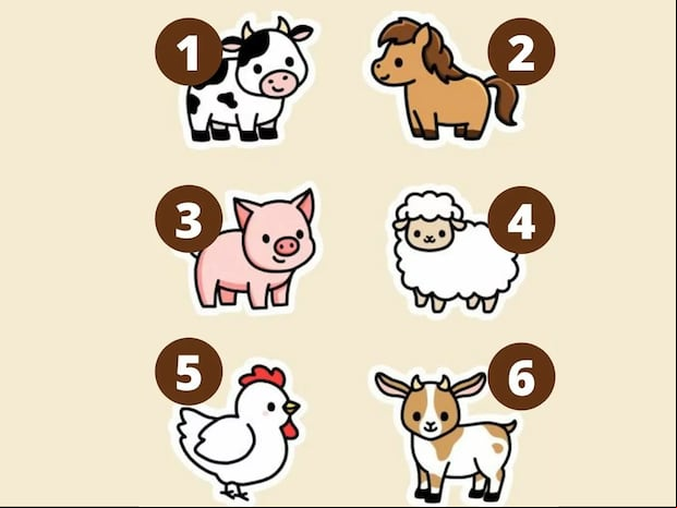 TEST VISUAL | Observa atentamente la imagen que presenta diversos animales y elige el que más te llame la atención, sin pensarlo demasiado.