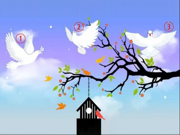 TEST VISUAL | Esta imagen te muestra tres palomas blancas. ¿Cuál es la que más te gusta? (Foto: namastest.net)